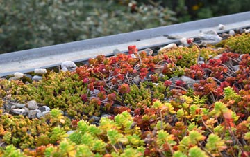 the cost of Glyncoch green roof installation