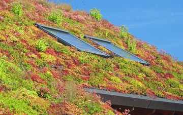 Glyncoch living roof systems